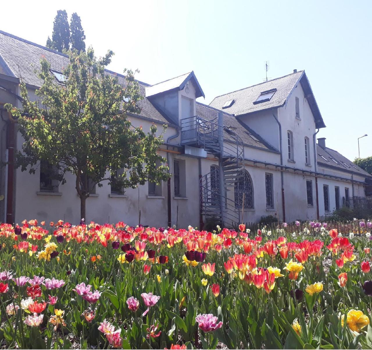 Auberge La Maison Montreau موراوْيْ المظهر الخارجي الصورة